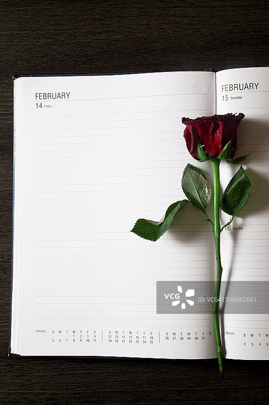 红色玫瑰与空白日记本图片素材