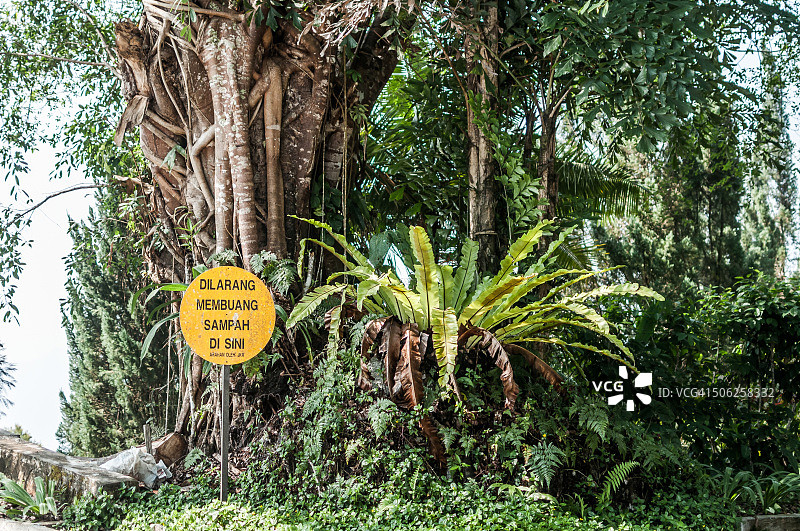 请勿乱扔垃圾图片素材