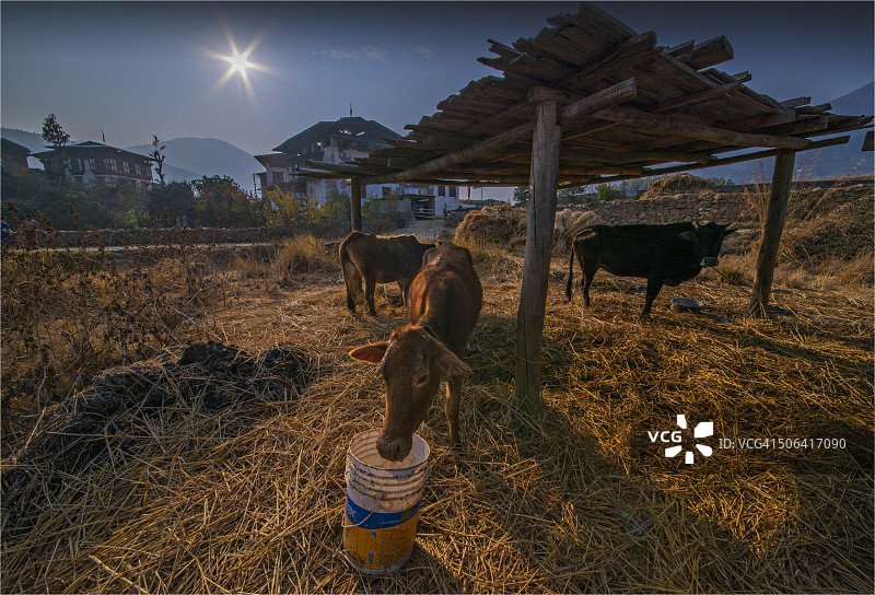 不丹旺杜波德朗，喜马拉雅山东部图片素材