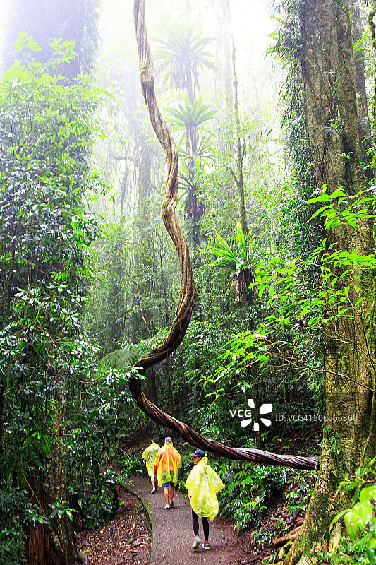 多里戈国家公园图片素材