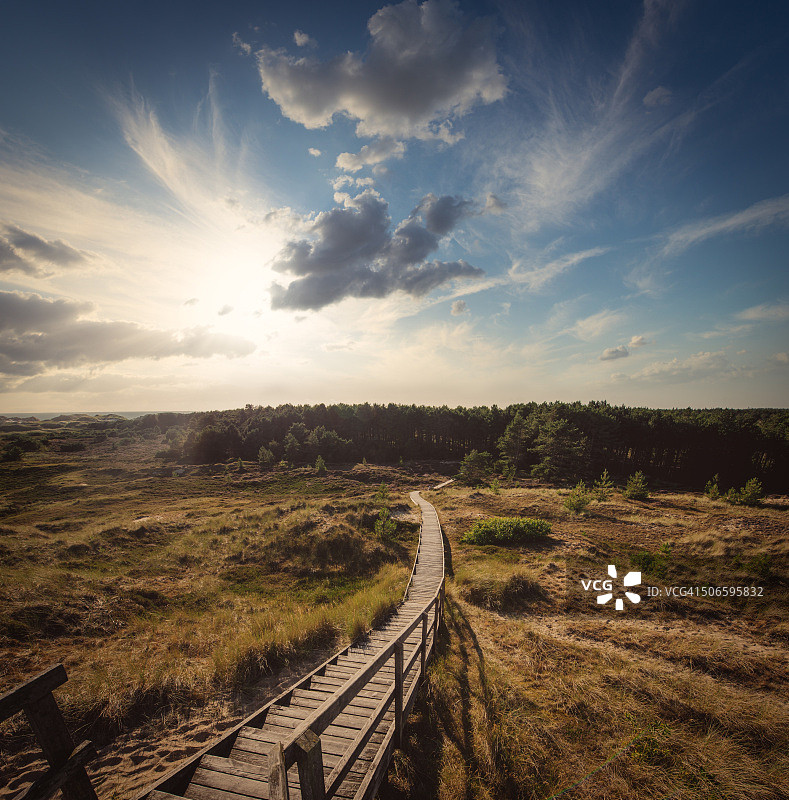 穿过沙丘的木板路图片素材