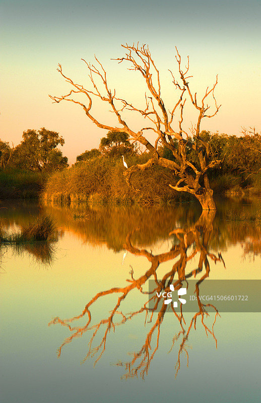 澳大利亚昆士兰州伯兹维尔附近泻湖的黄昏图片素材