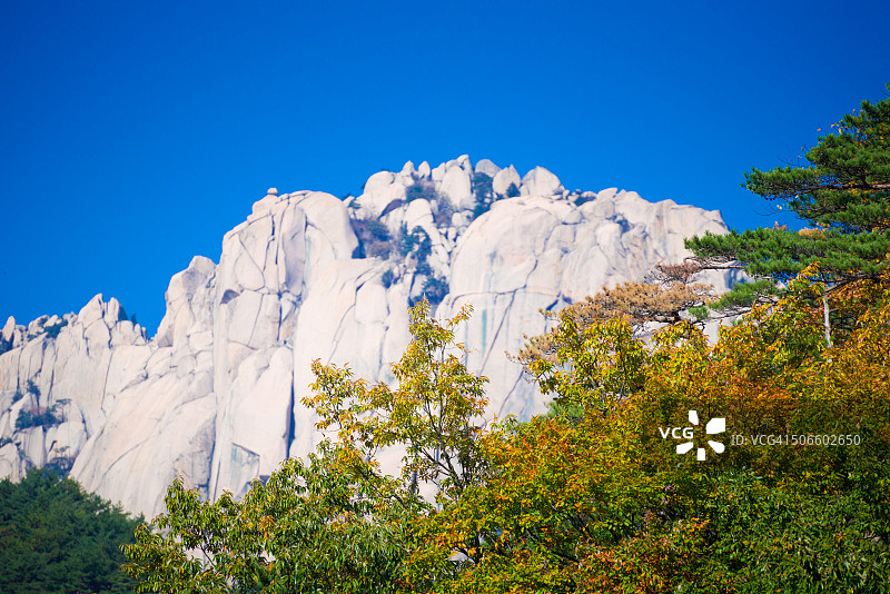 雪岳山国家公园蔚山岩彩色树叶背景图片素材