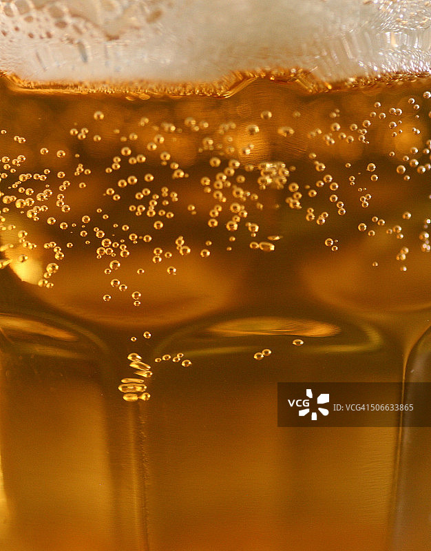 品脱杯中拉格啤酒的泡沫图片素材