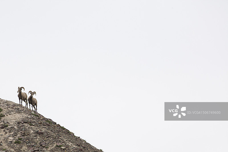 冰川国家公园图片素材