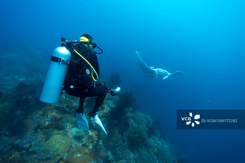 水下美景图片素材