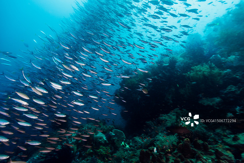 水下美景图片素材