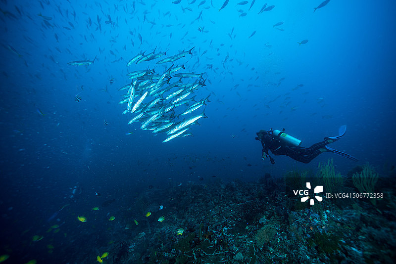 水下美景图片素材