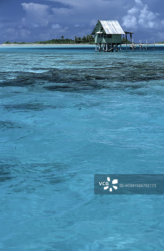 朗伊罗阿岛黑色珍珠养殖场图片素材