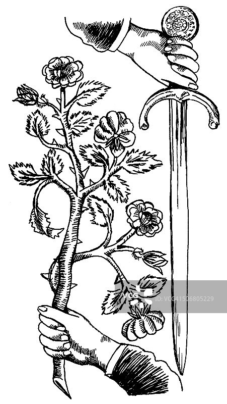 马基雅维利图片素材