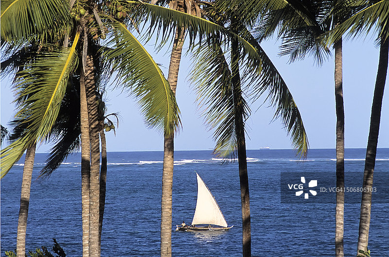 蒙巴萨的传统单桅帆船图片素材