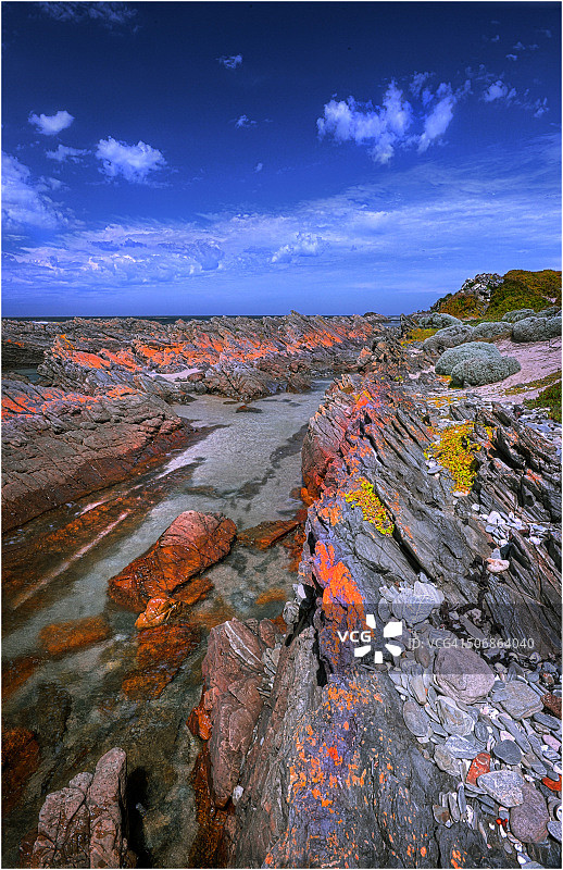 澳大利亚塔斯马尼亚金岛巴斯海峡的夏日风光图片素材