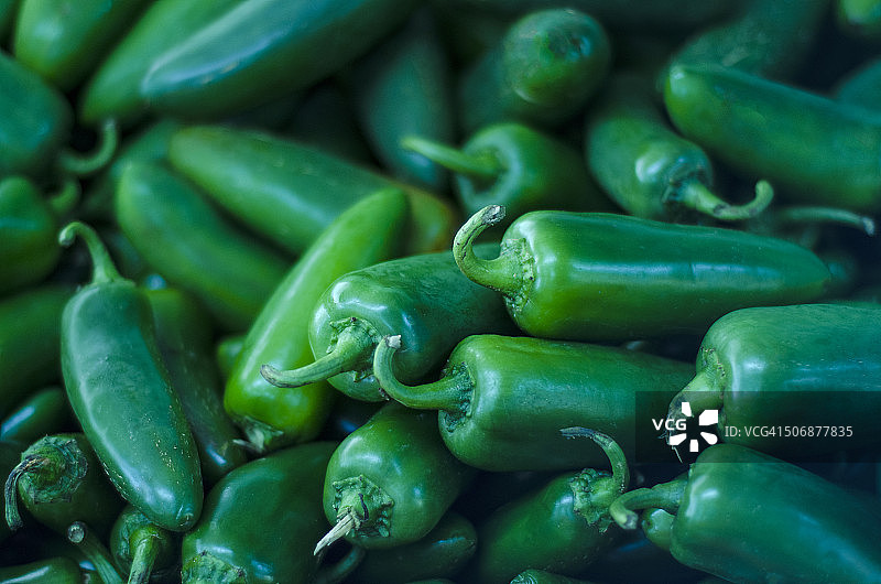 绿色塞拉诺辣椒图片素材