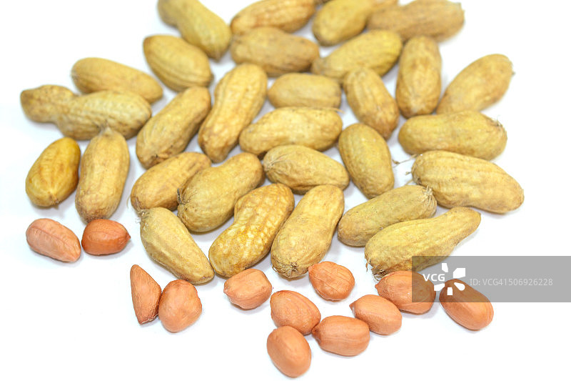 花生图片素材