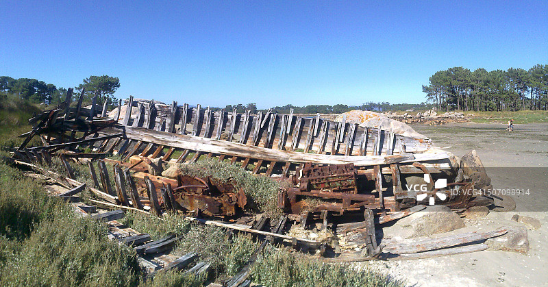 海滩上的残骸骨架图片素材