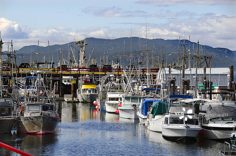坎贝尔河船港图片素材