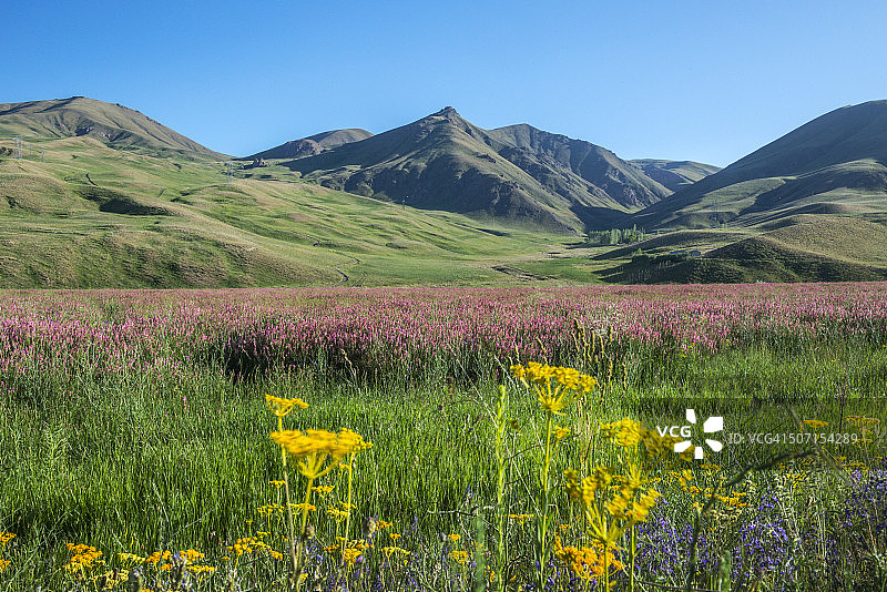 哈卡里附近壮丽的景色图片素材