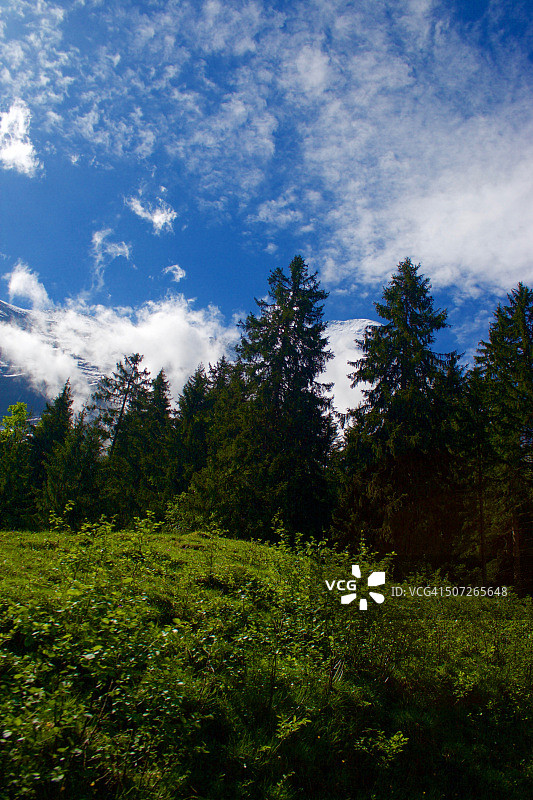 冬季的壮丽景观图片素材