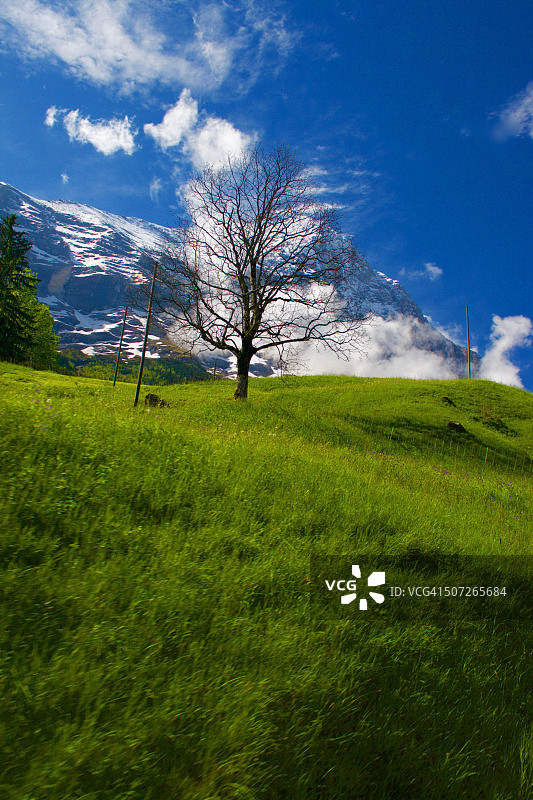 冬季的壮丽景观图片素材