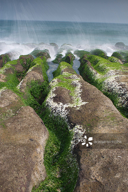 绿色藻礁图片素材