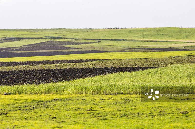 奥罗米亚地区农田图片素材