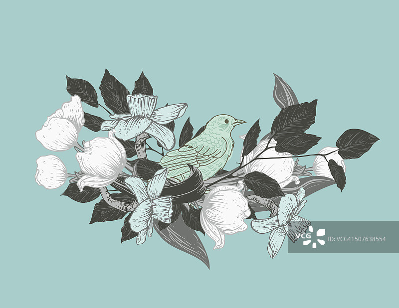 花鸟枝条图片素材