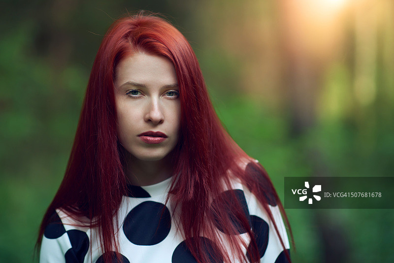 暮光森林中的孤影图片素材