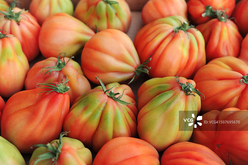 祖传番茄图片素材