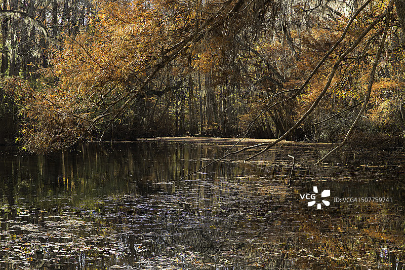 康格里国家公园的韦斯顿湖图片素材