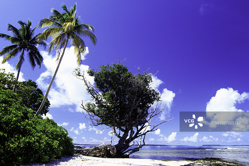 拉尔岛图片素材