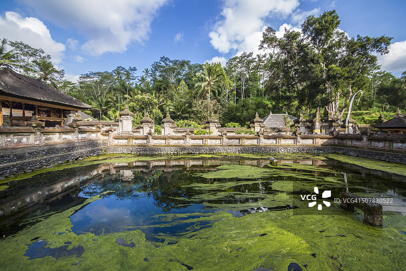 巴厘岛Tirta Empul寺圣泉图片素材