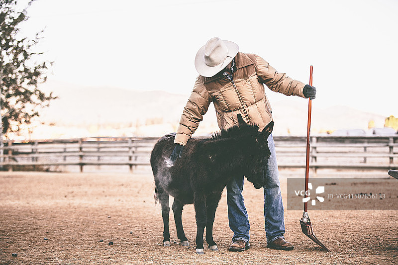 工人手持铲子，停下来抚摸小马图片素材