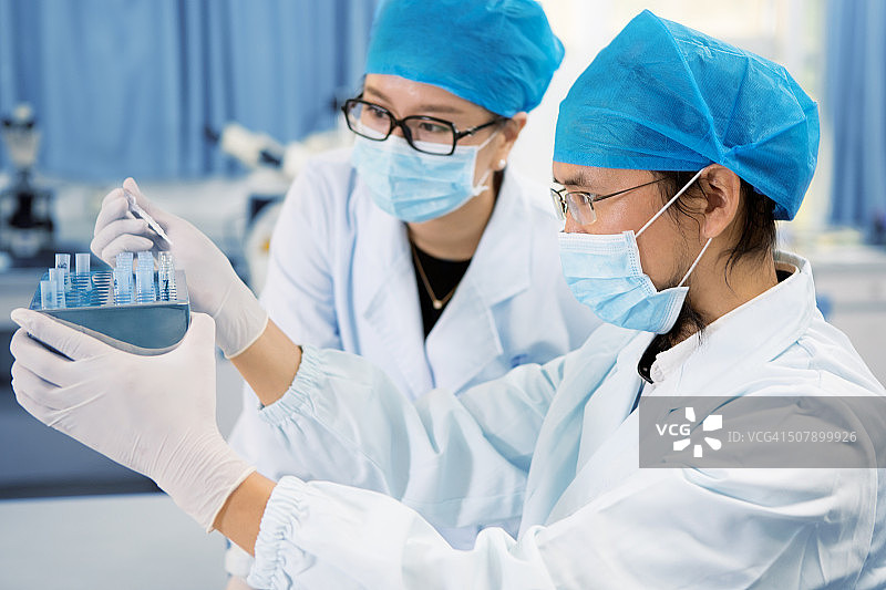 实验室里，两位科学家正在用显微镜观察图片素材