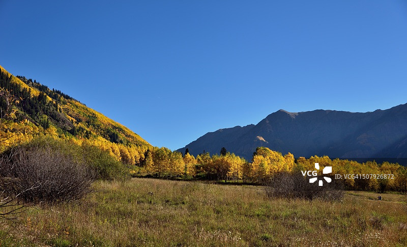穿过草地望向白杨树和群山图片素材
