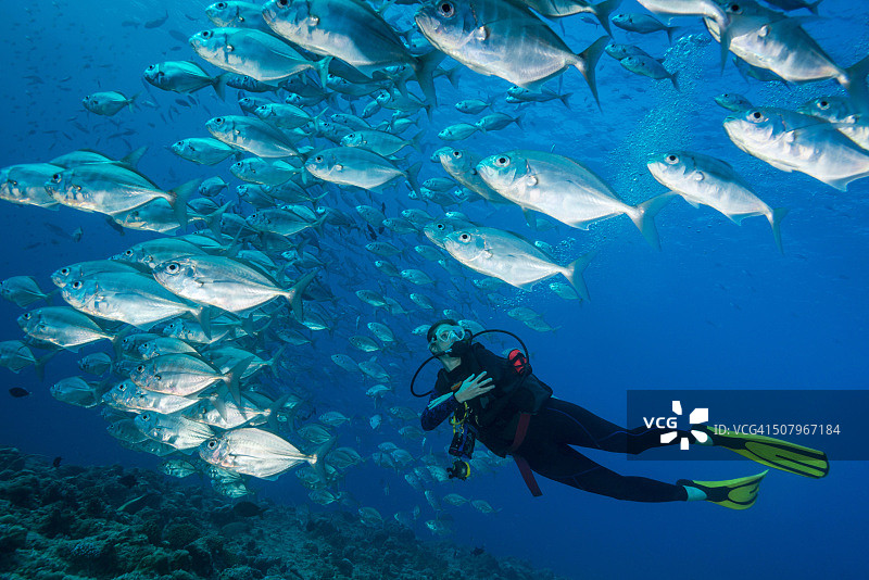 帕劳 - 密克罗尼西亚图片素材