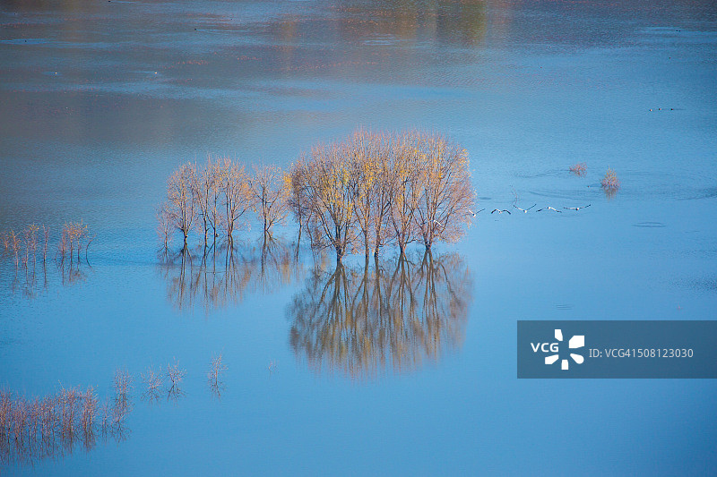 云南念湖湿地风光图片素材