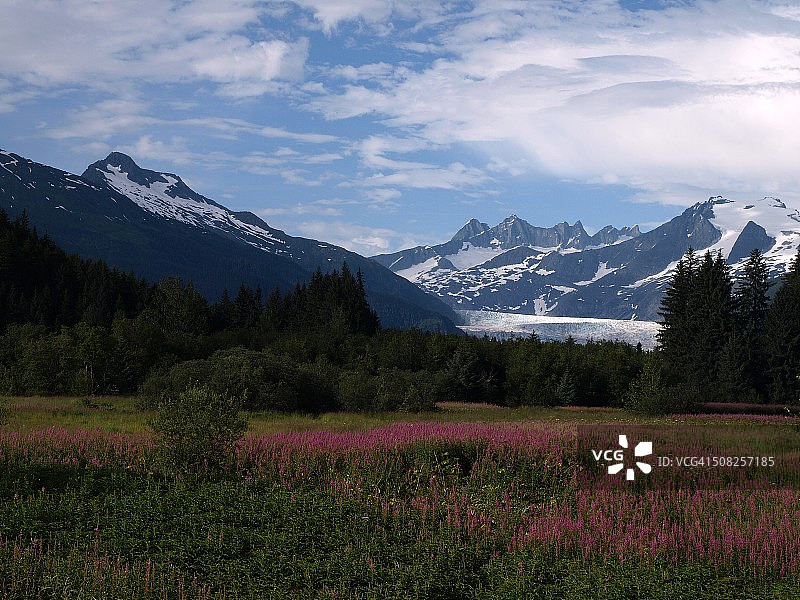 林业局冰川图片素材