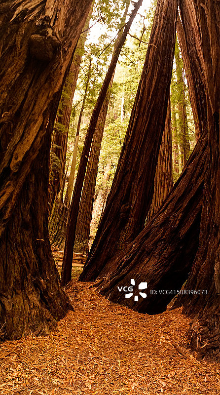 请安静进入图片素材