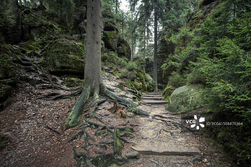 阿德尔斯帕赫斯卡尼岩石城图片素材