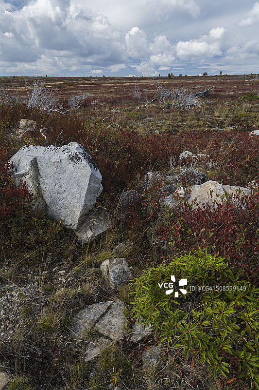 多莉索兹的秋天，西弗吉尼亚州图片素材