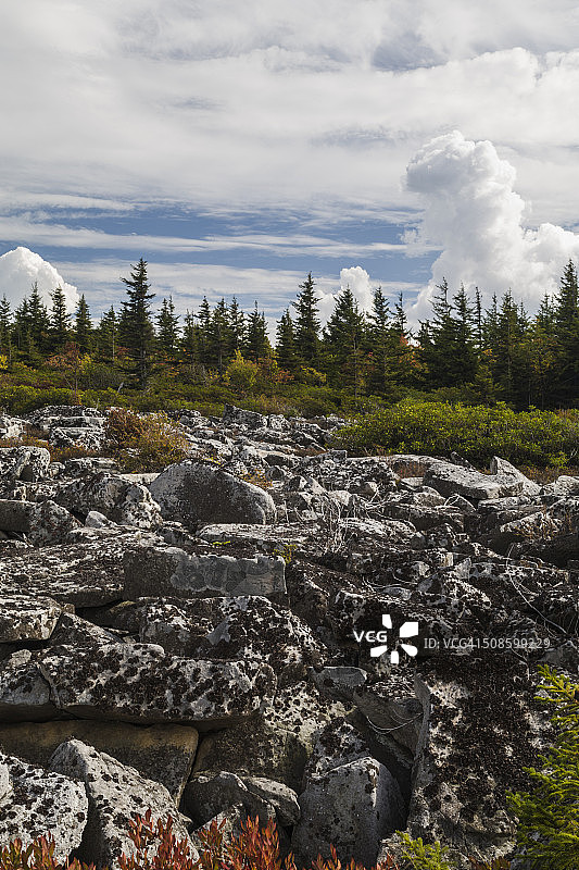 多莉索兹的秋天，西弗吉尼亚州图片素材