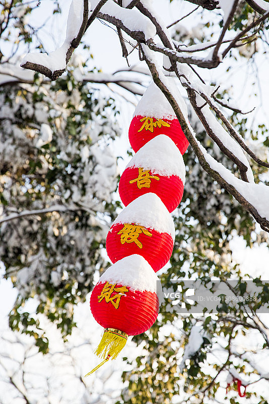 雪中的中国灯笼图片素材