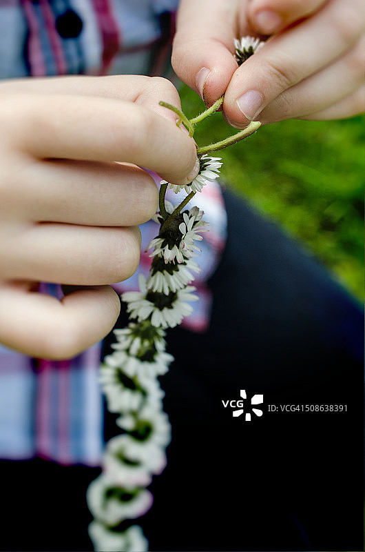 雏菊花链图片素材