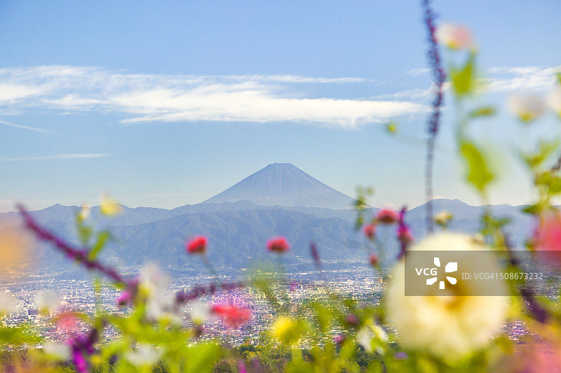 富士山和鲜花图片素材