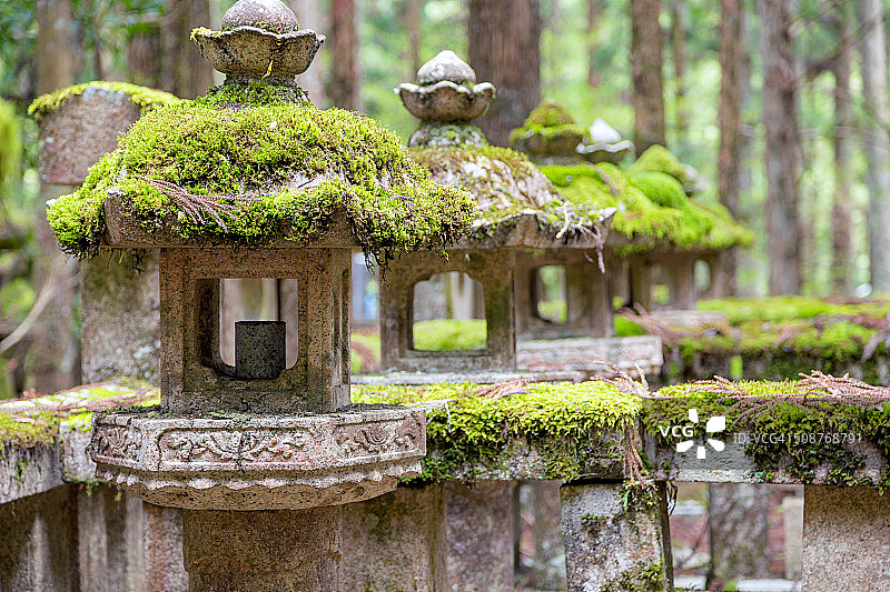 覆盖苔藓的灯笼图片素材