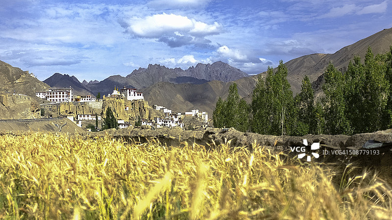 拉马尤鲁的大麦田，印度图片素材