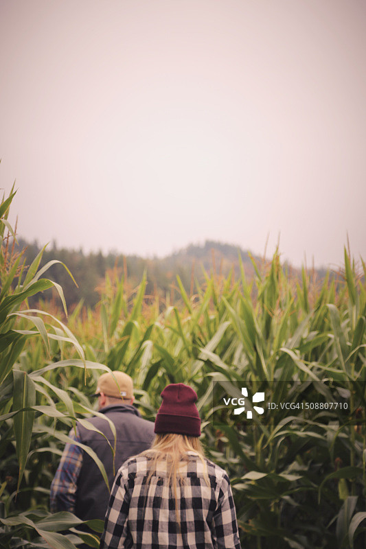 南瓜农场图片素材