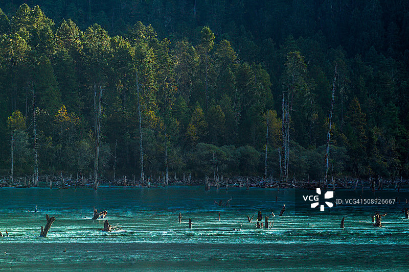 帕隆藏布江图片素材