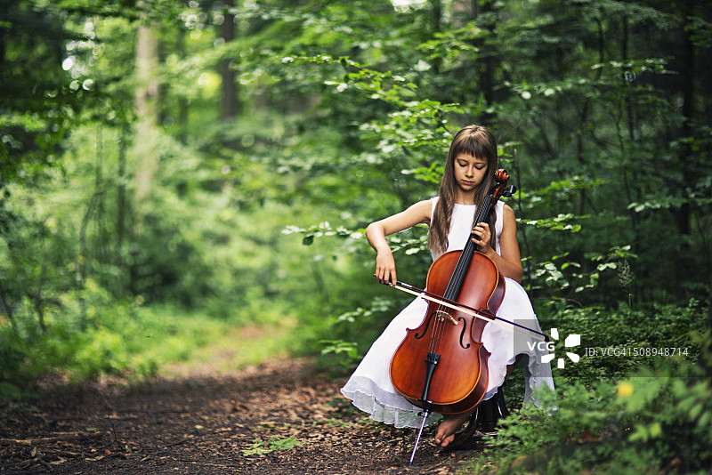 大自然的音乐 - 小提琴手在美丽的森林里演奏图片素材