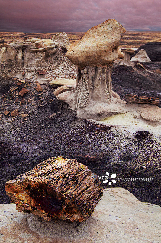 神秘的荒地图片素材